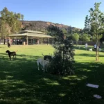 Westlake Village Dog Park in California