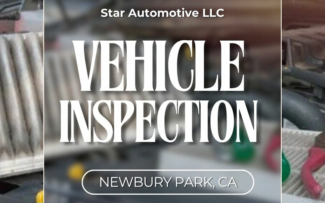 vehicle inspection