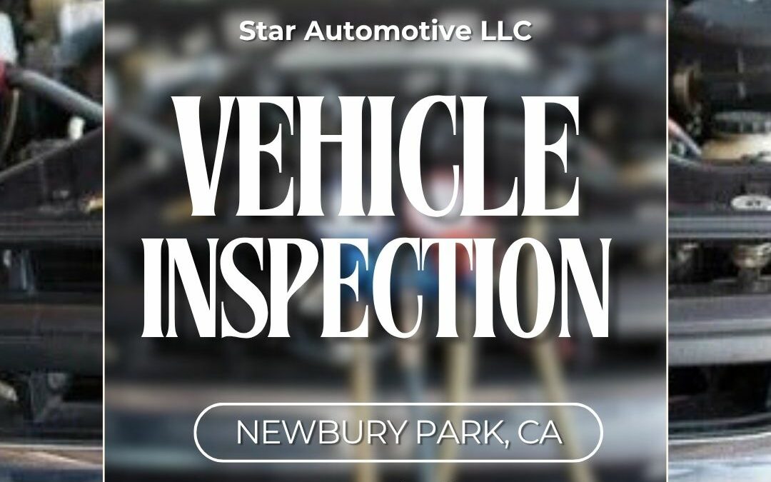 vehicle inspection